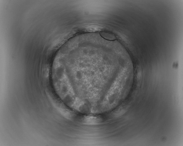 X0000112030315200908241544