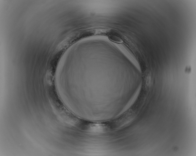 X0000112030316200908241544