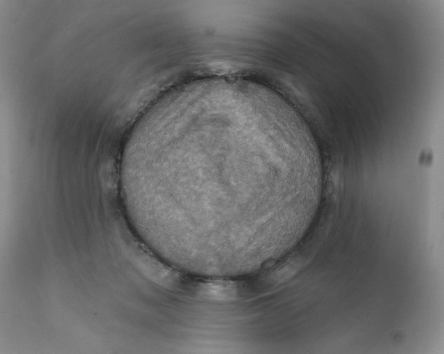 X0000112030317200908241544