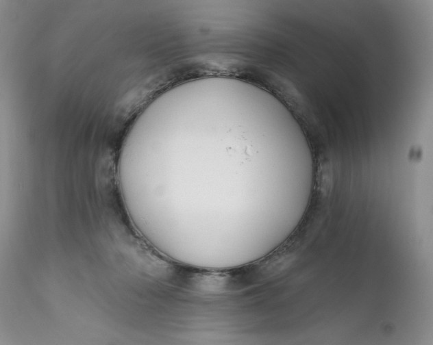 X0000112030318200908241544