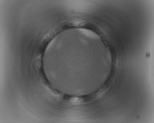 X0000112030319200908241544