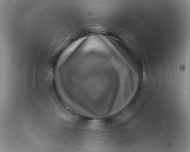 X0000112030320200908241544