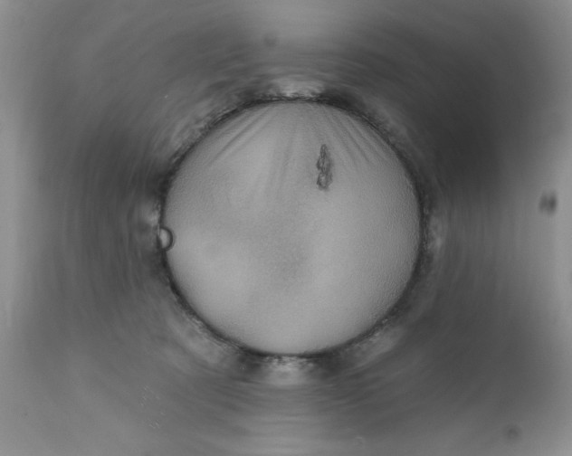 X0000112030321200908241544