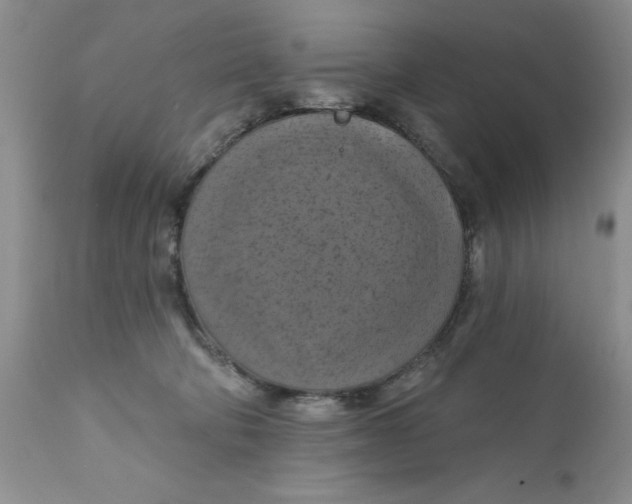 X0000112030322200908241544