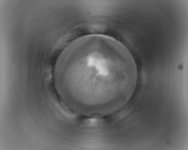 X0000112030323200908241544