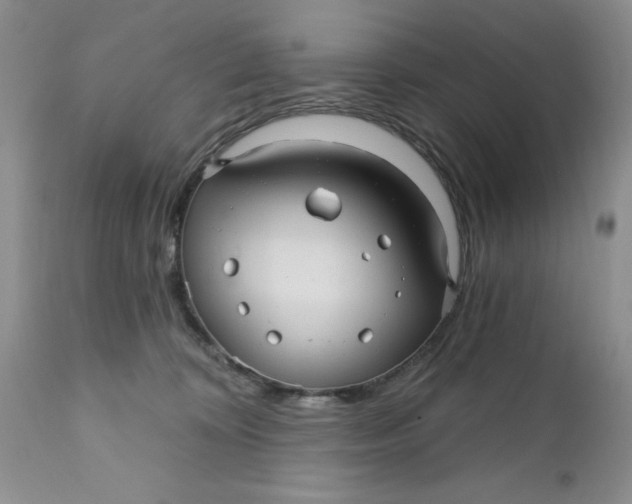 X0000112030324200908241544