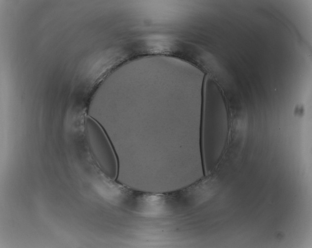 X0000112030325200908241544