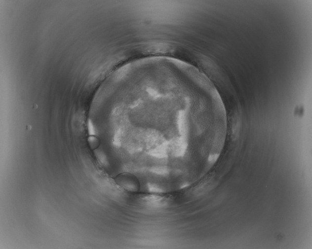 X0000112030326200908241544