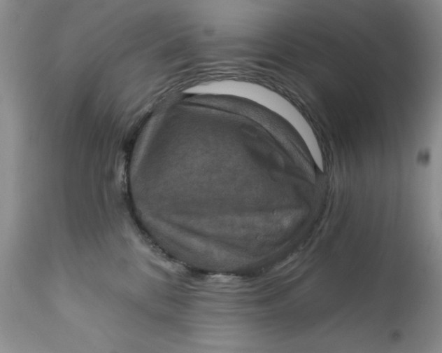 X0000112030328200908241544