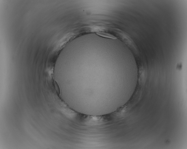 X0000112030329200908241544