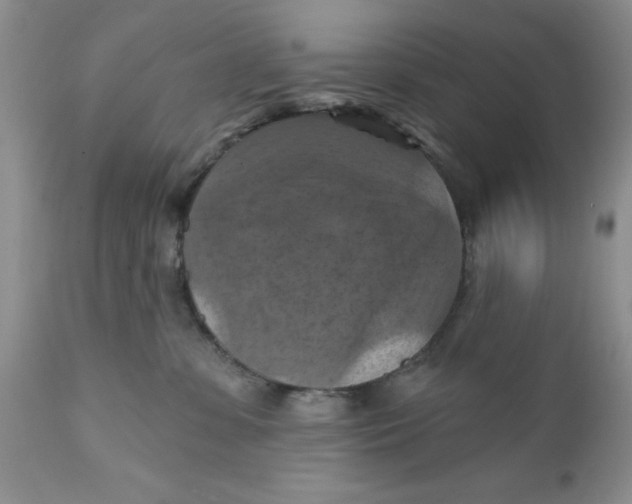 X0000112030331200908241544