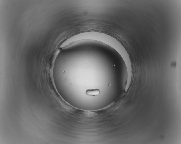 X0000112030333200908241544
