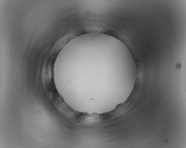 X0000112030334200908241544