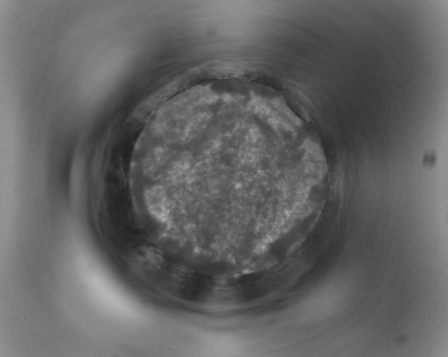 X0000112030335200908241544