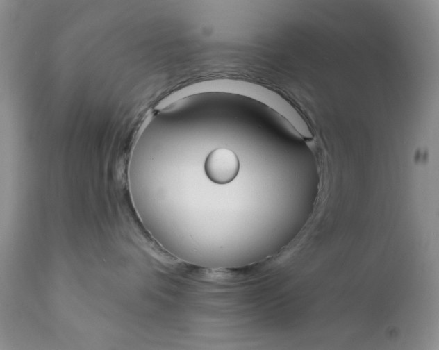 X0000112030336200908241544