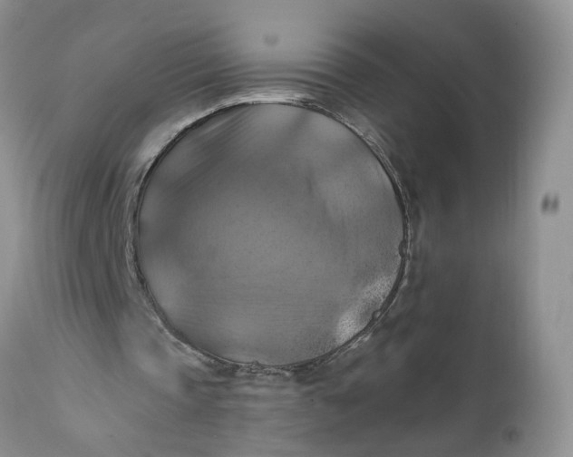 X0000112030337200908241543