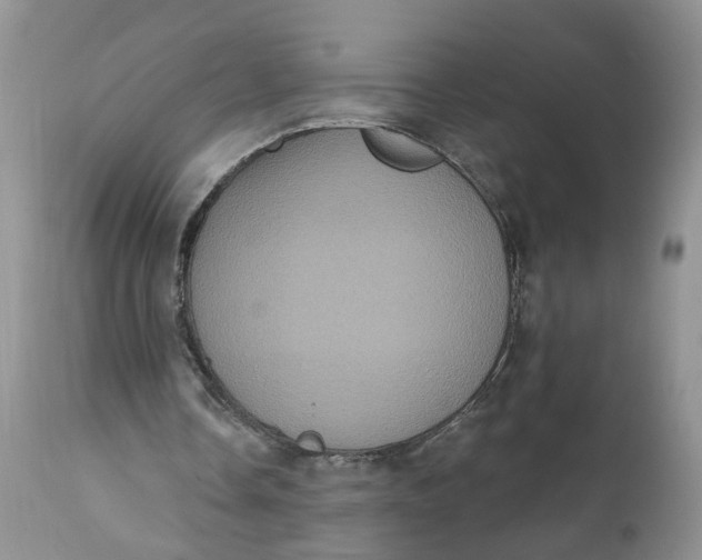 X0000112030338200908241543