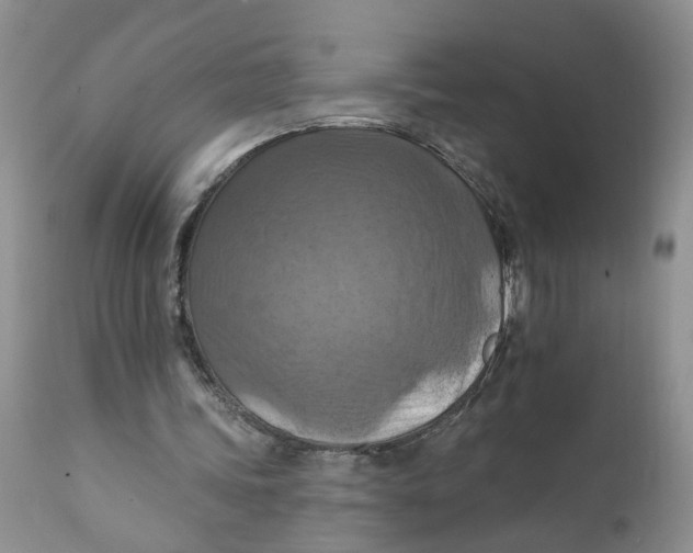 X0000112030339200908241543