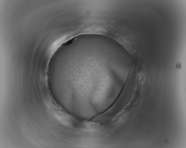 X0000112030340200908241543