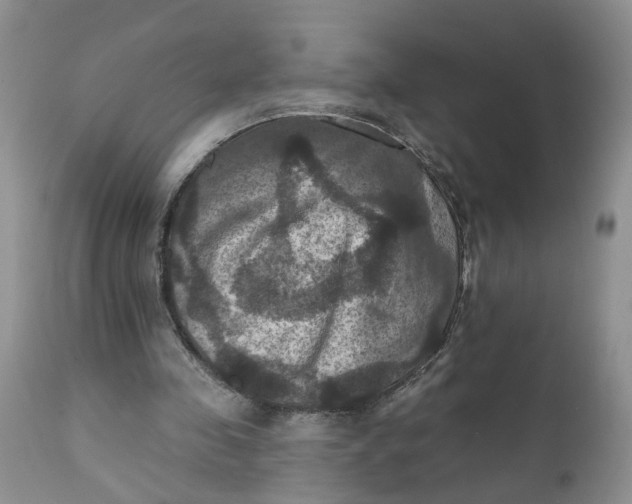 X0000112030341200908241543