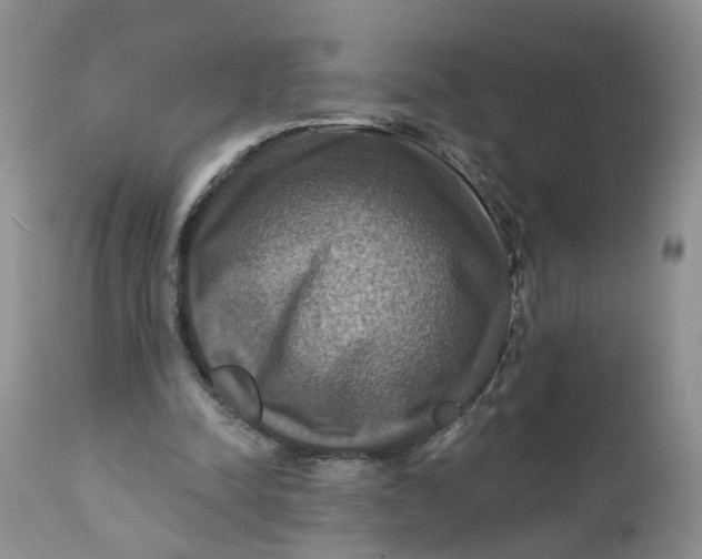 X0000112030342200908241543