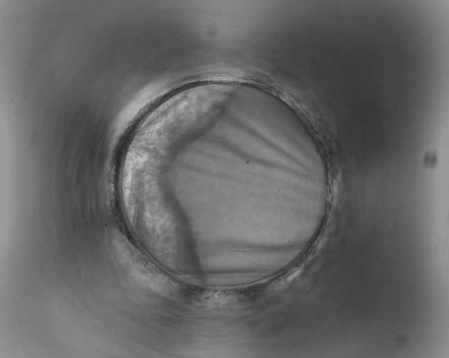 X0000112030343200908241543