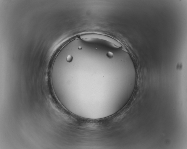 X0000112030344200908241543