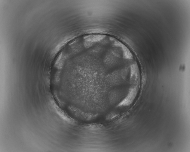 X0000112030345200908241543