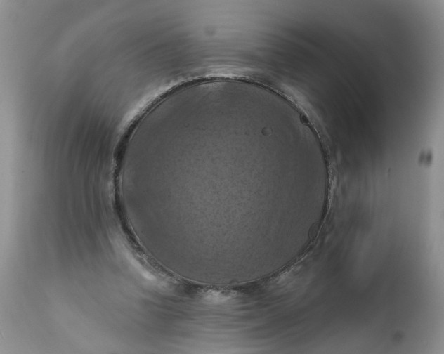 X0000112030346200908241543