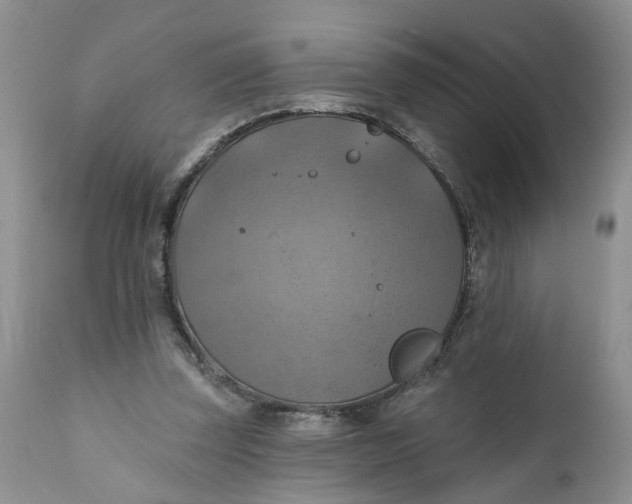 X0000112030347200908241543