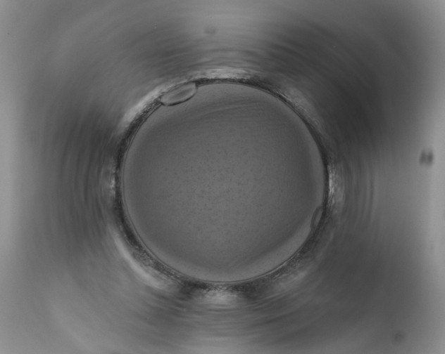 X0000112030348200908241543