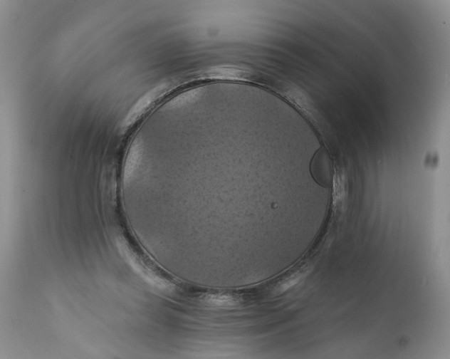 X0000112030349200908241543
