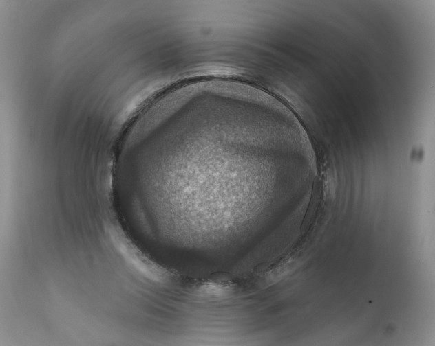 X0000112030350200908241543