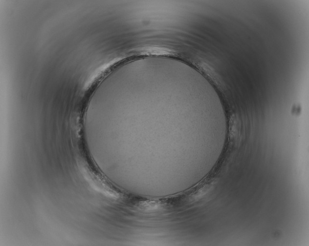 X0000112030351200908241543