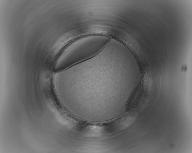 X0000112030352200908241543
