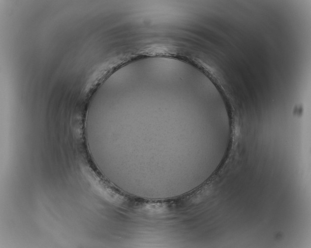 X0000112030353200908241543