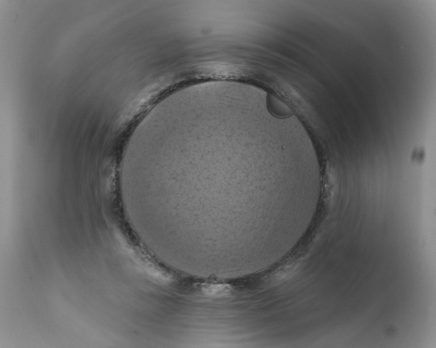 X0000112030355200908241543