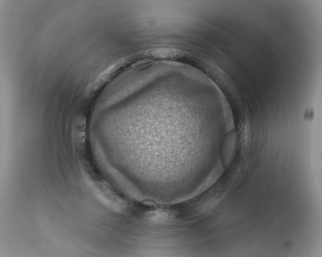 X0000112030356200908241543