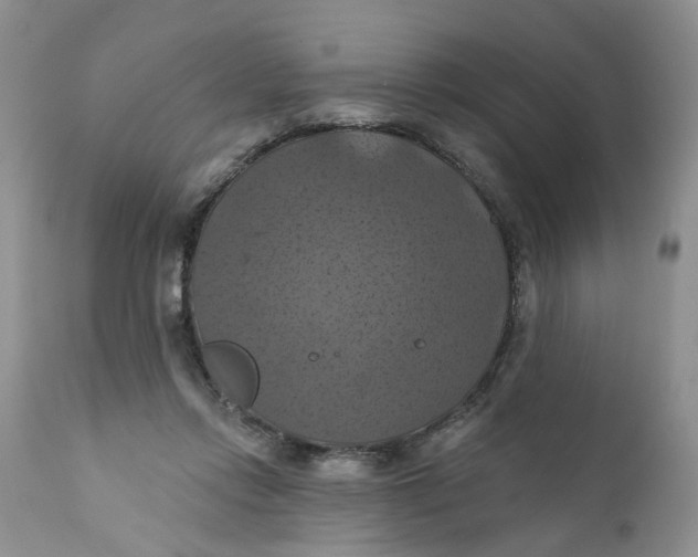 X0000112030358200908241543