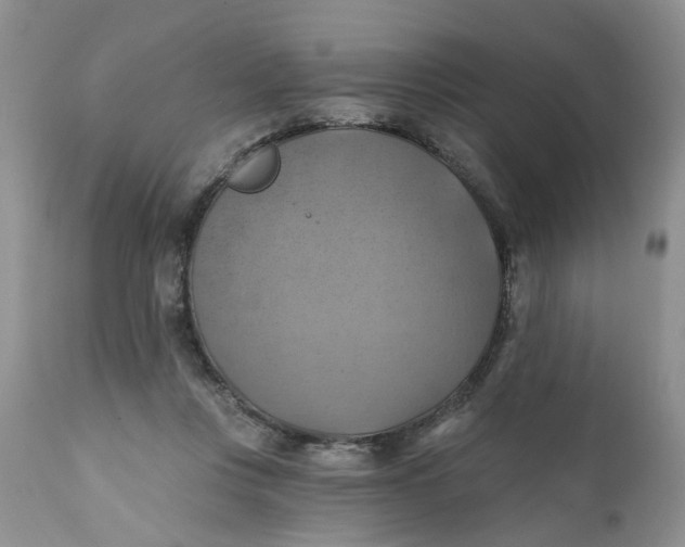 X0000112030359200908241543