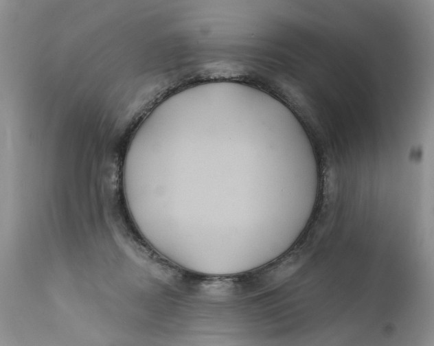 X0000112030362200908241544
