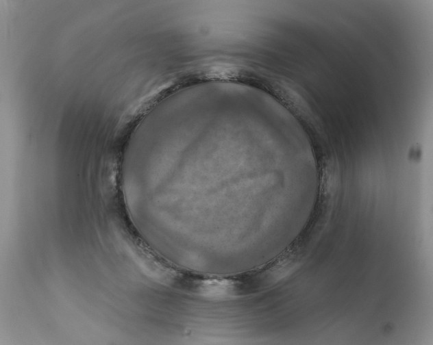 X0000112030363200908241544