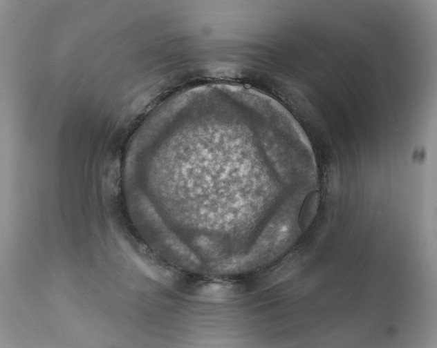 X0000112030364200908241544