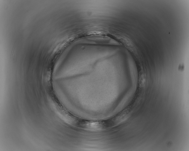 X0000112030365200908241544