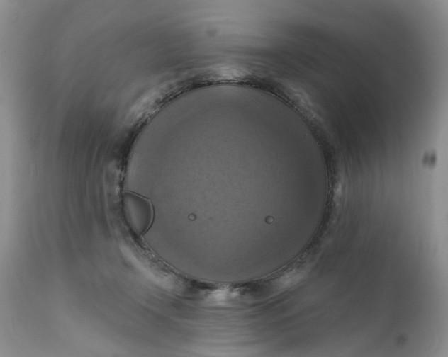 X0000112030366200908241544