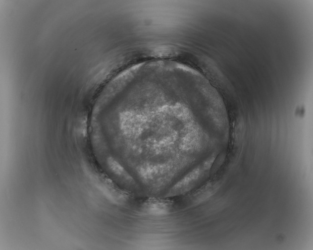 X0000112030368200908241544
