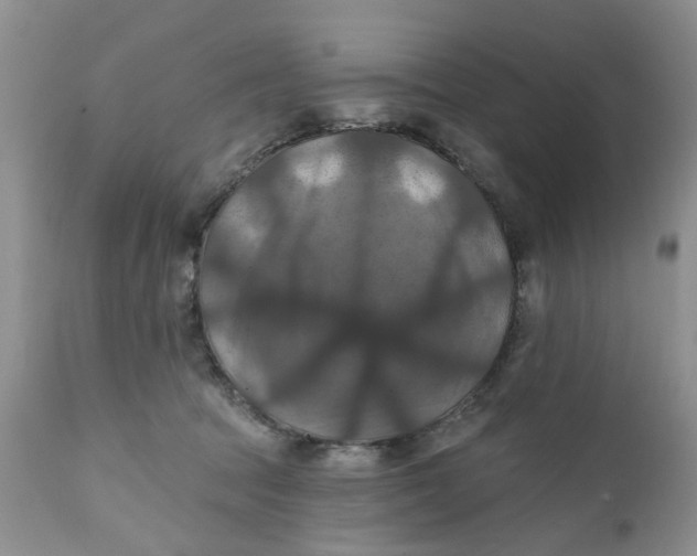 X0000112030369200908241544