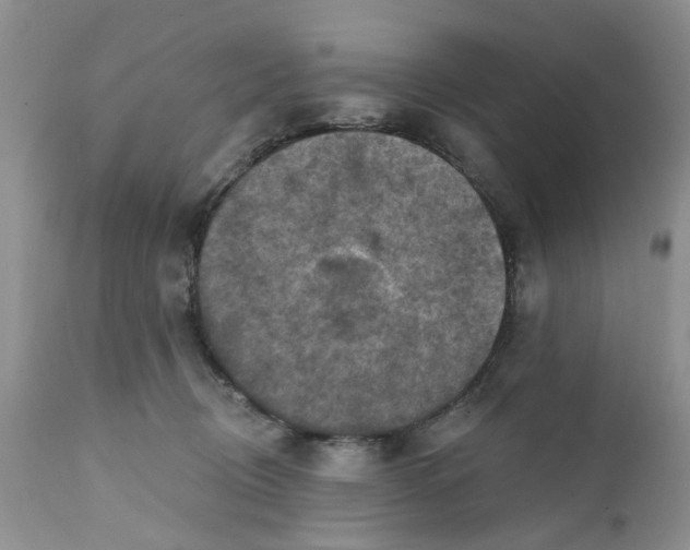 X0000112030370200908241544
