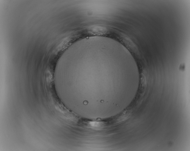 X0000112030371200908241544