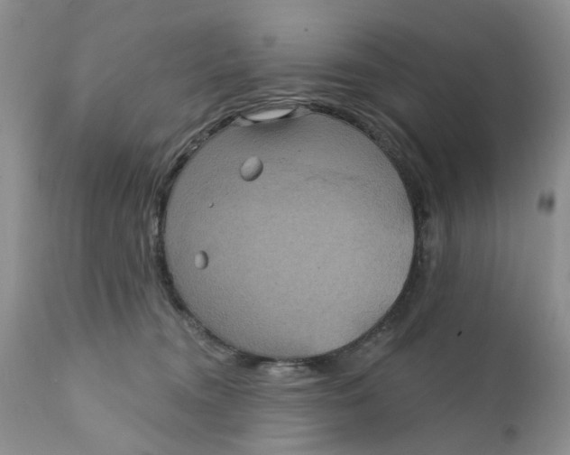 X0000112030372200908241544